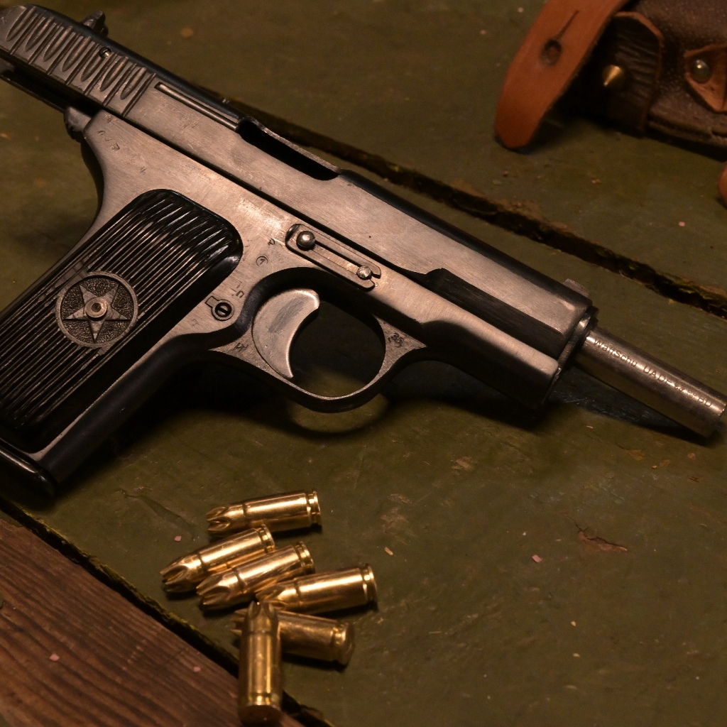 vignette Tokarev TT-33