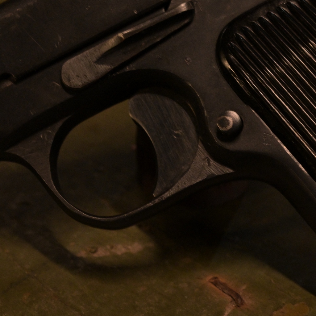 vignette Tokarev TT-33